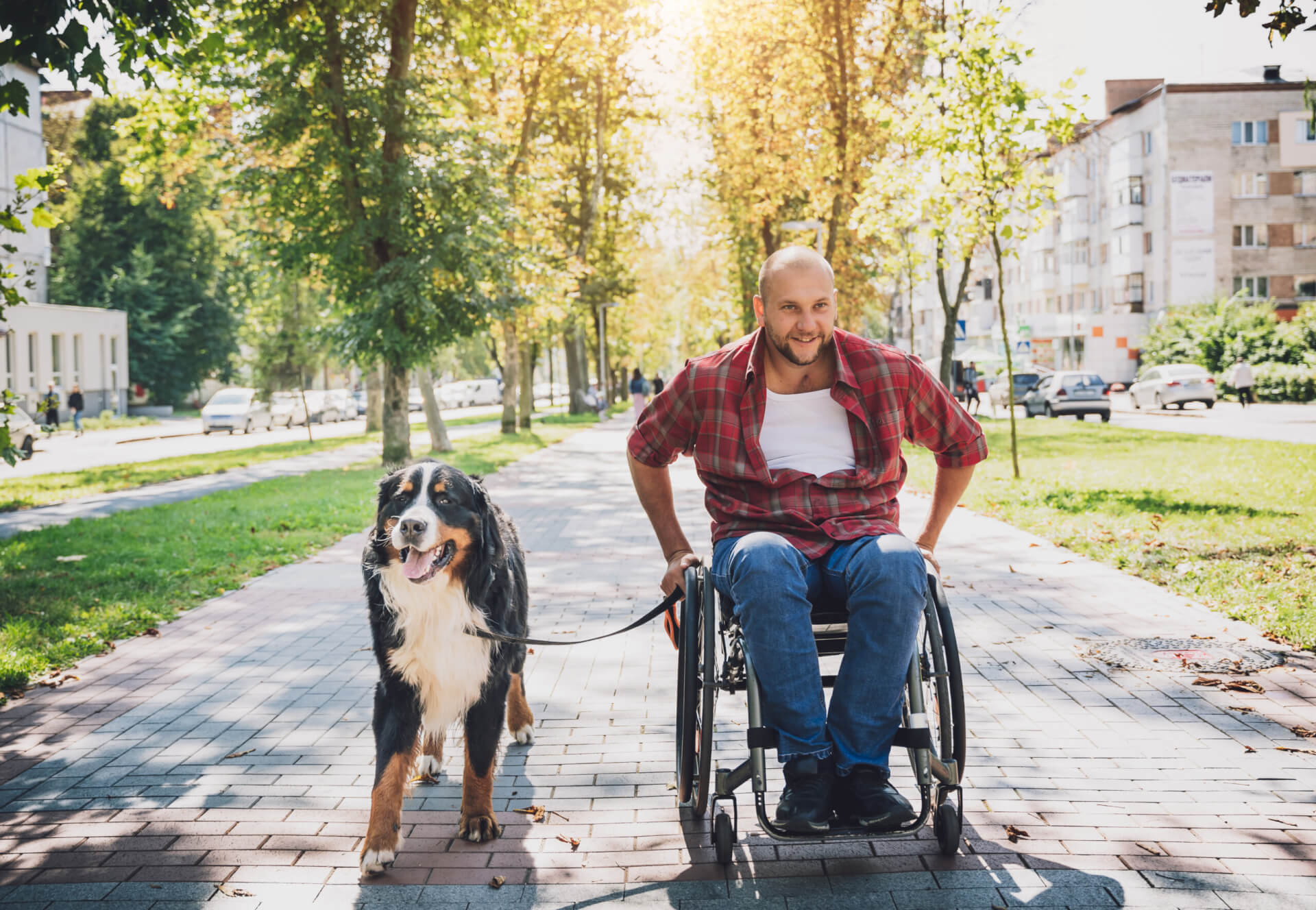 Hombre en silla de ruedas con un perro de montaña bernés