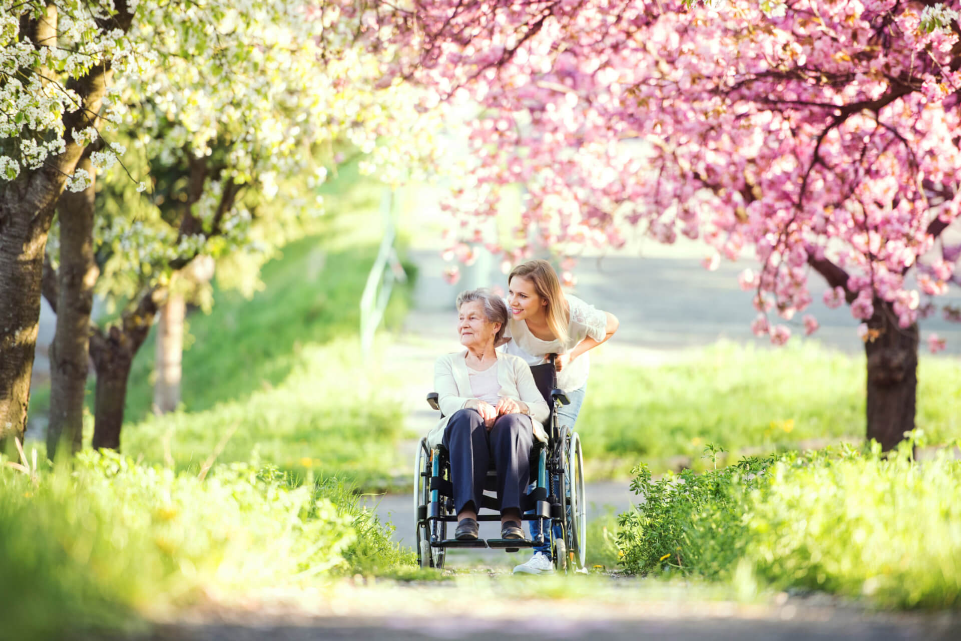 Blonde woman is pushing elderly lady in a wheelchair through a park. They are surrounded by trees, some with pink spring blossoms