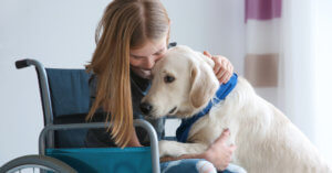Girl in wheelchair with service dog indoors