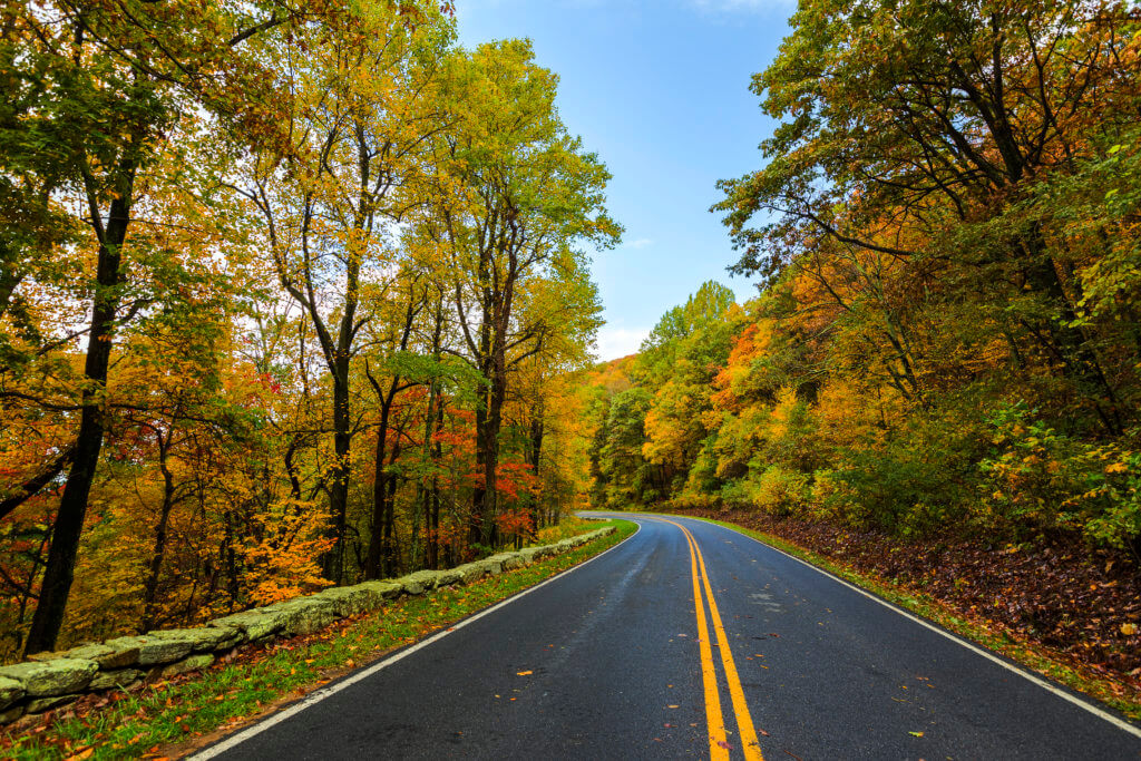 Photo shows roadway in Virginia's Shenandoah National Park