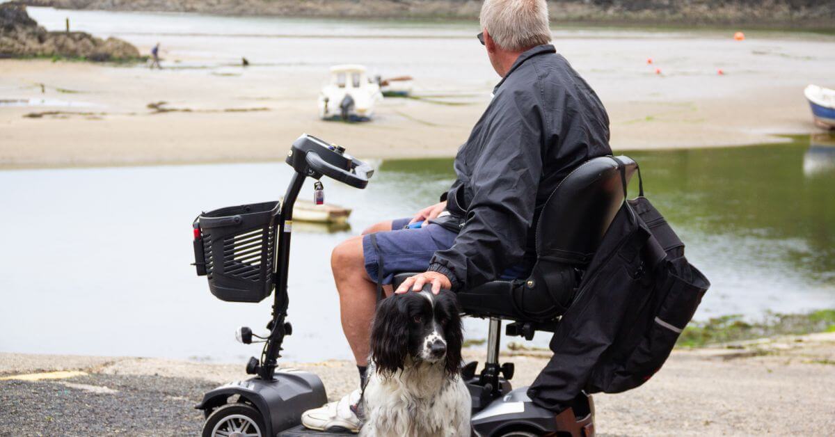 An older man sits on a mobility scooter by the water, resting his hand on a black and white dog sitting beside him.