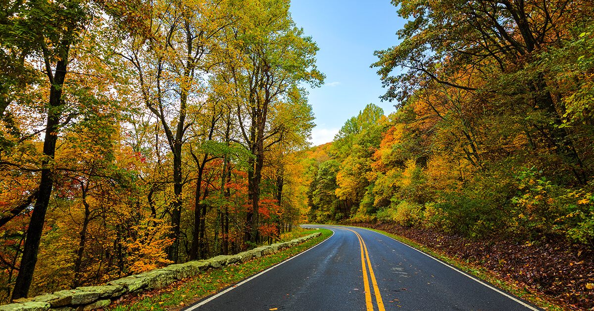 Photo shows roadway in Shenandoah National State Park