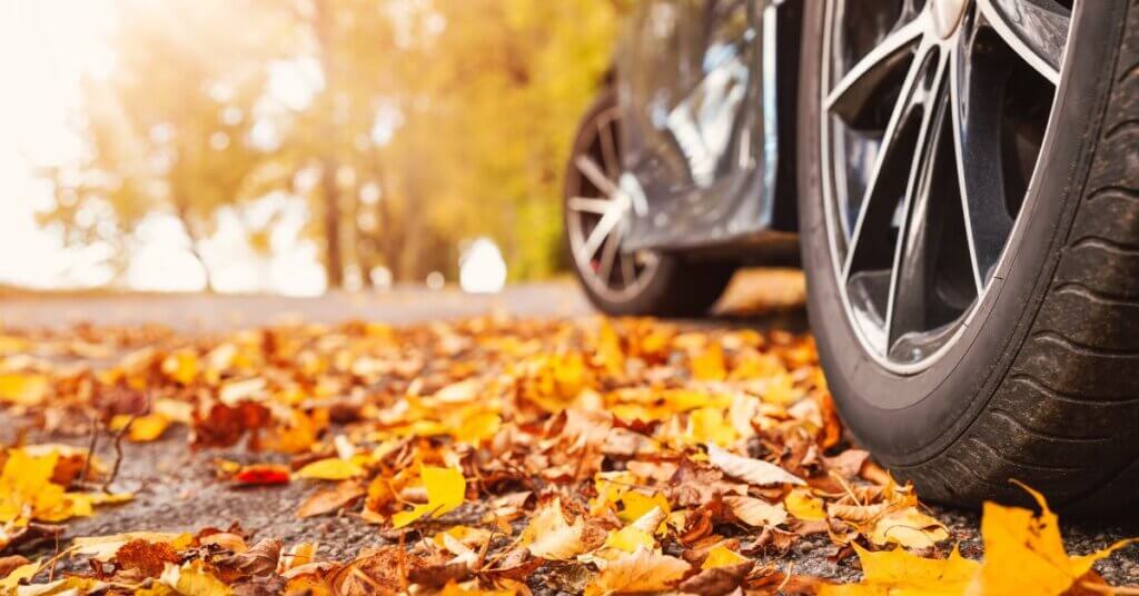 Close-up of a car tire on a road covered with fallen autumn leaves, with trees in the background.