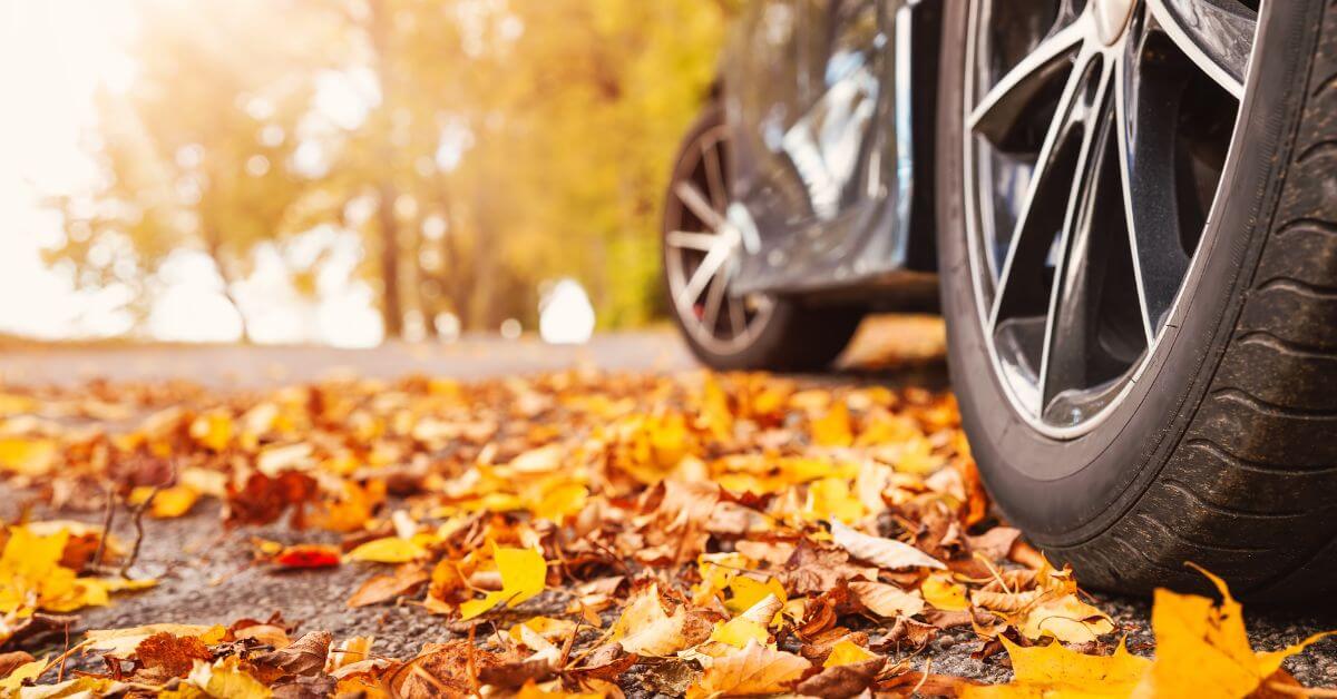 Close-up of a car tire on a road covered with fallen autumn leaves, with trees in the background.