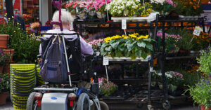 elderly lady in wheelchair shopping for flowers